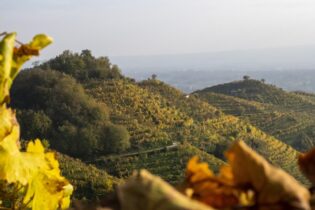 Le Colline del Prosecco Superiore