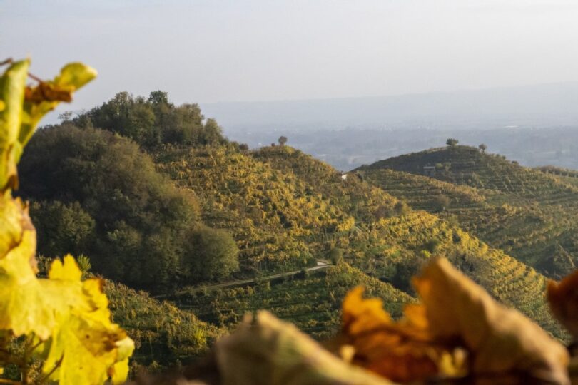 Le Colline del Prosecco Superiore